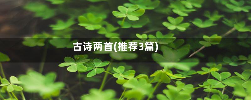 古诗两首(推荐3篇)