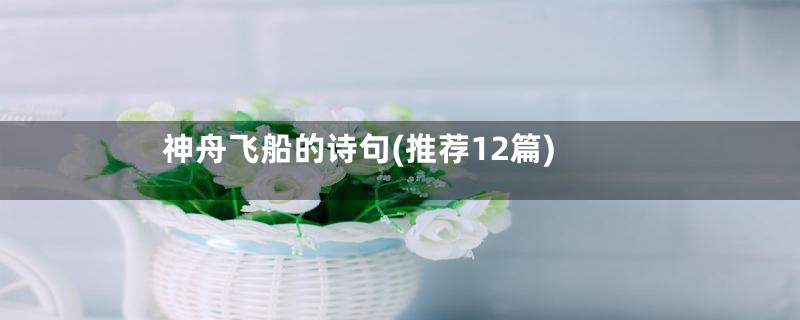 神舟飞船的诗句(推荐12篇)