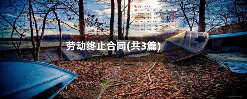 劳动终止合同(共3篇)