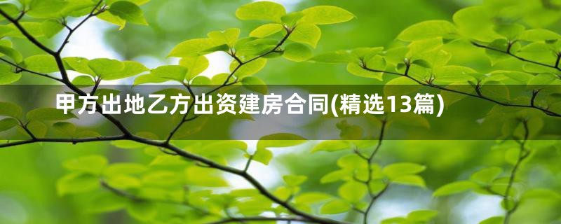 甲方出地乙方出资建房合同(精选13篇)