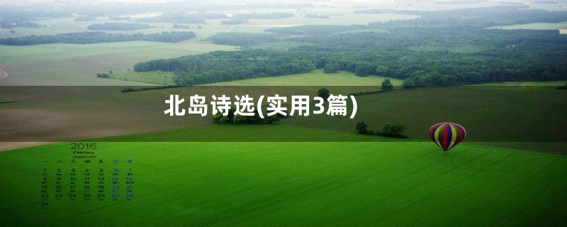 北岛诗选(实用3篇)