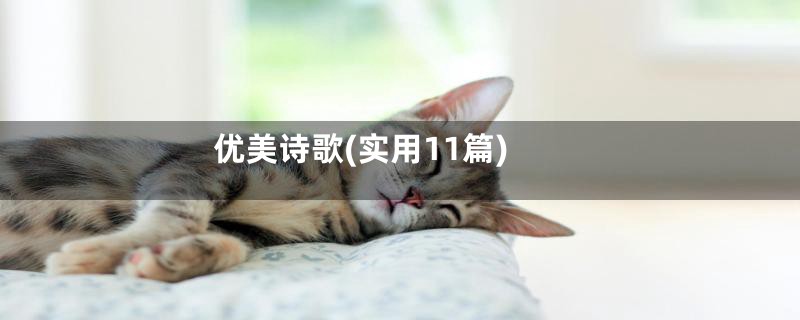 优美诗歌(实用11篇)