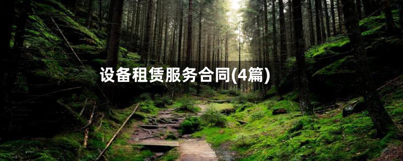 设备租赁服务合同(4篇)