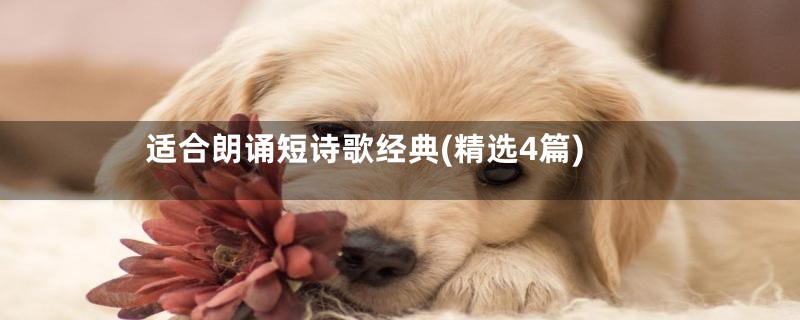 适合朗诵短诗歌经典(精选4篇)
