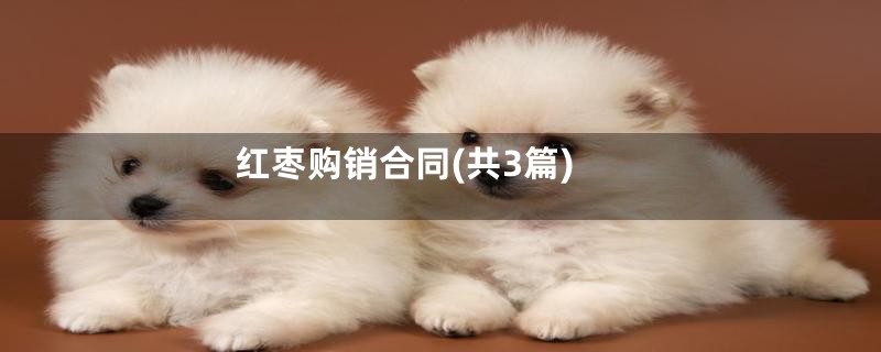 红枣购销合同(共3篇)