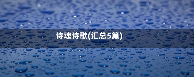 诗魂诗歌(汇总5篇)