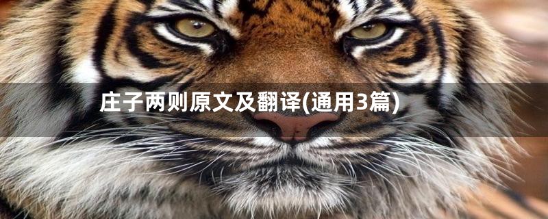 庄子两则原文及翻译(通用3篇)