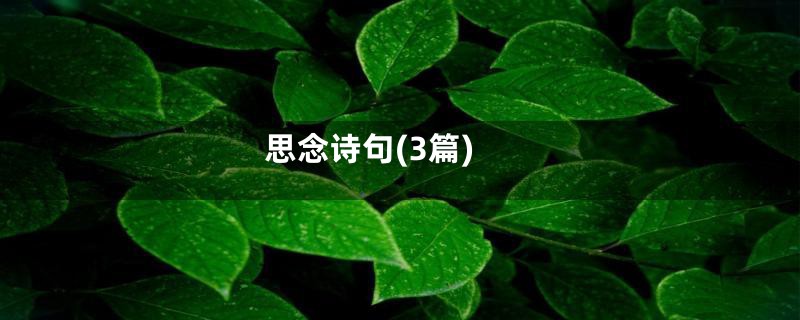 思念诗句(3篇)