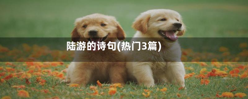 陆游的诗句(热门3篇)