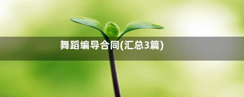 舞蹈编导合同(汇总3篇)