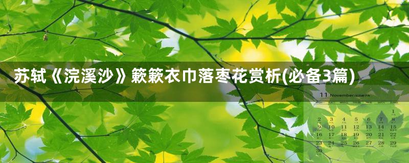 苏轼《浣溪沙》簌簌衣巾落枣花赏析(必备3篇)