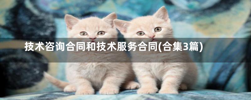 技术咨询合同和技术服务合同(合集3篇)