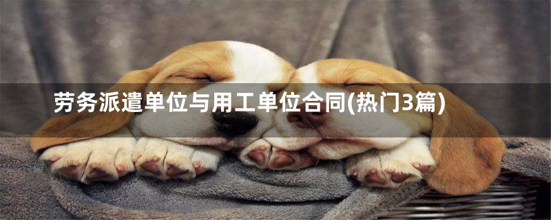 劳务派遣单位与用工单位合同(热门3篇)