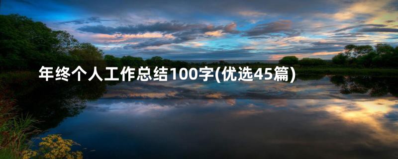 年终个人工作总结100字(优选45篇)