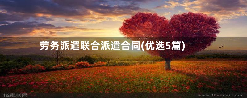 劳务派遣联合派遣合同(优选5篇)