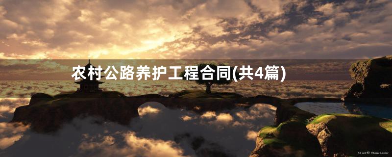 农村公路养护工程合同(共4篇)