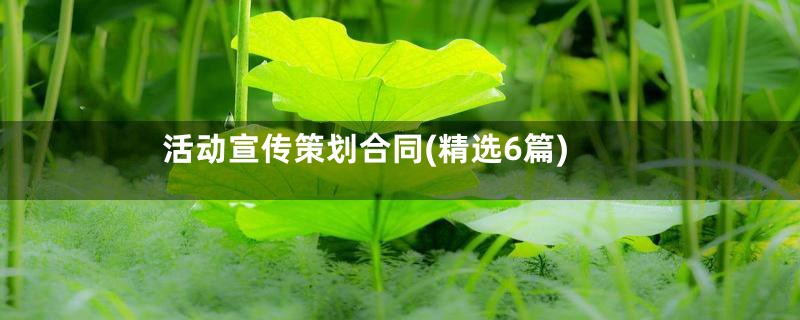 活动宣传策划合同(精选6篇)
