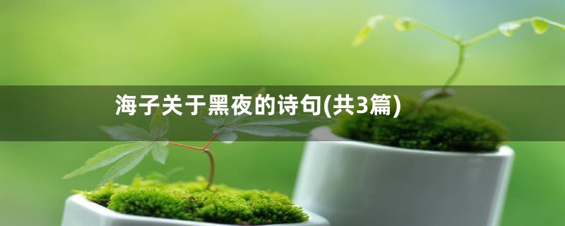 海子关于黑夜的诗句(共3篇)