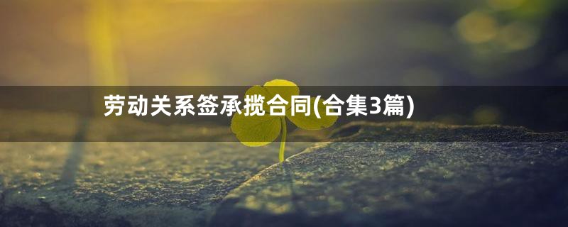 劳动关系签承揽合同(合集3篇)