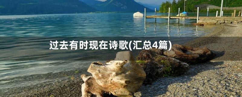 过去有时现在诗歌(汇总4篇)