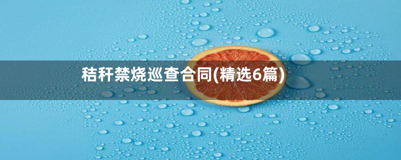 秸秆禁烧巡查合同(精选6篇)