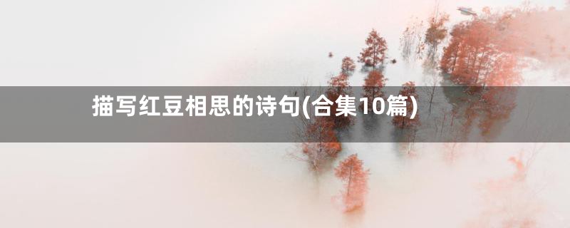 描写红豆相思的诗句(合集10篇)