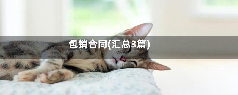 包销合同(汇总3篇)