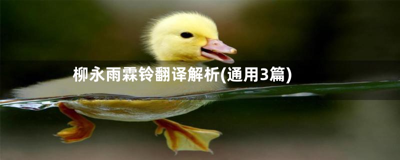 柳永雨霖铃翻译解析(通用3篇)