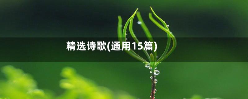 精选诗歌(通用15篇)