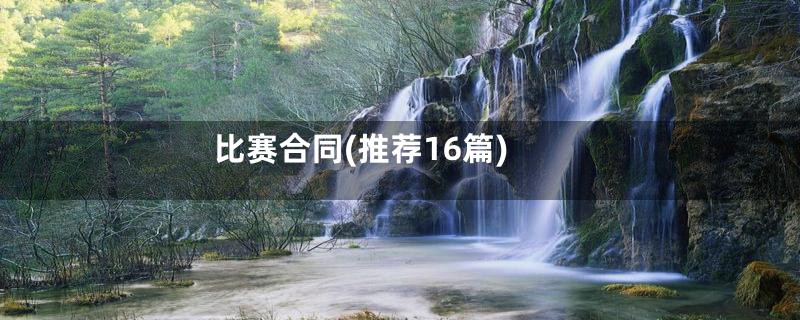 比赛合同(推荐16篇)