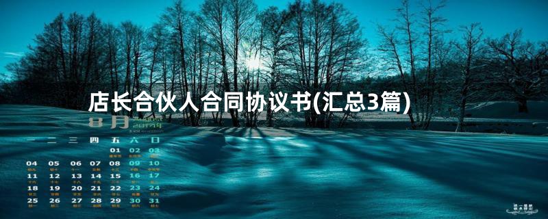 店长合伙人合同协议书(汇总3篇)