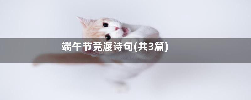 端午节竞渡诗句(共3篇)