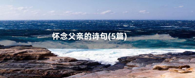 怀念父亲的诗句(5篇)