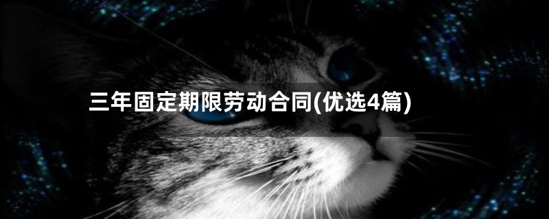 三年固定期限劳动合同(优选4篇)