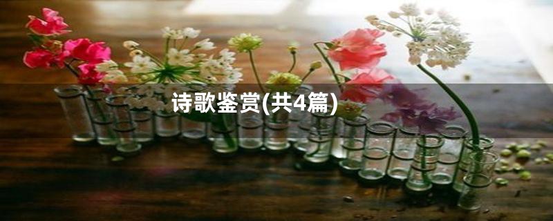 诗歌鉴赏(共4篇)