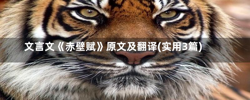 文言文《赤壁赋》原文及翻译(实用3篇)