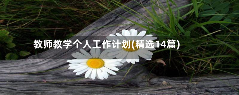 教师教学个人工作计划(精选14篇)
