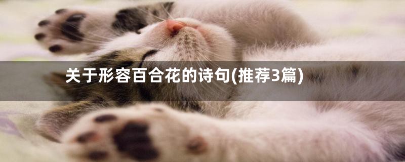 关于形容百合花的诗句(推荐3篇)