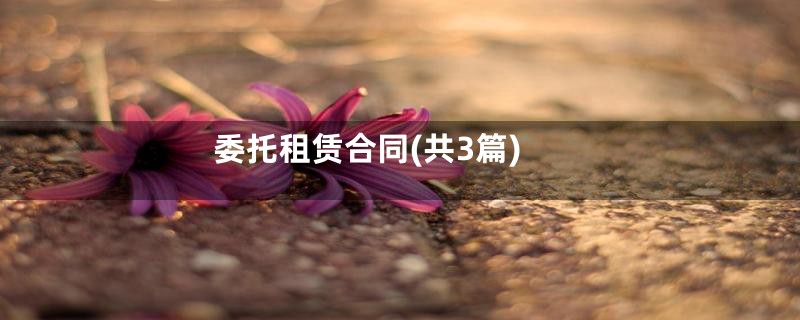 委托租赁合同(共3篇)