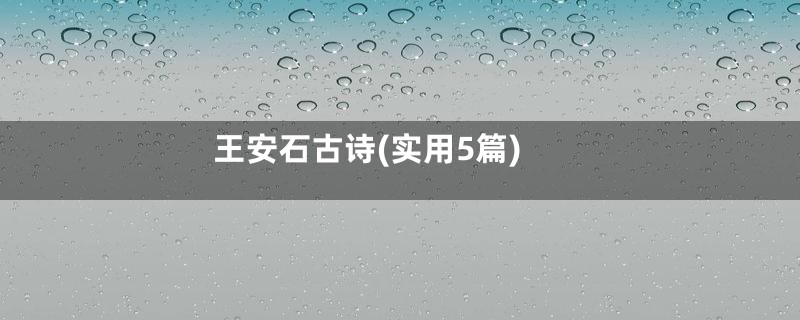 王安石古诗(实用5篇)