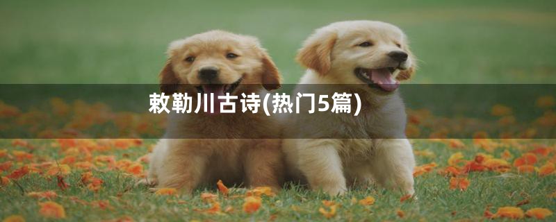 敕勒川古诗(热门5篇)