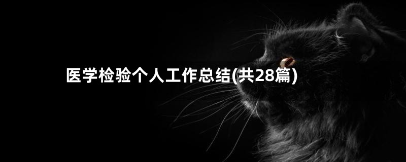 医学检验个人工作总结(共28篇)