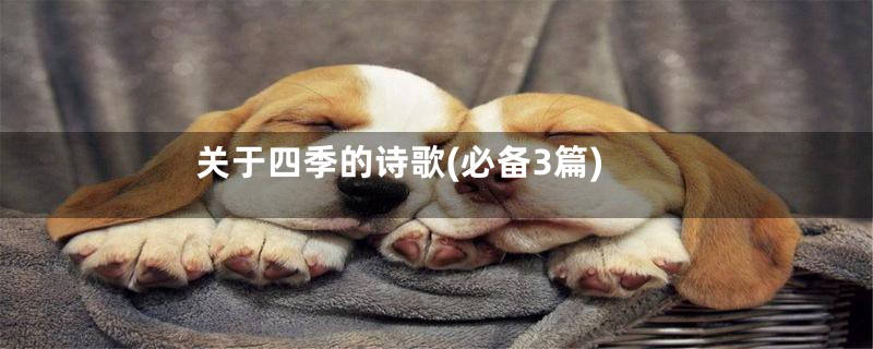 关于四季的诗歌(必备3篇)