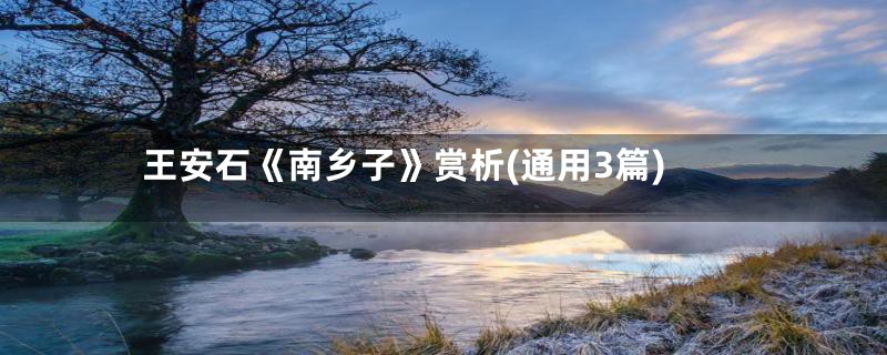 王安石《南乡子》赏析(通用3篇)