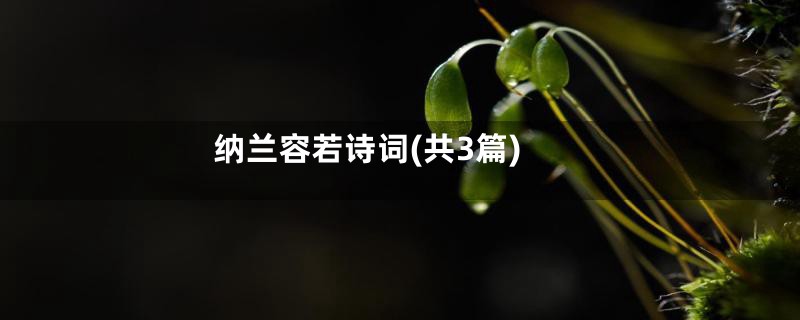 纳兰容若诗词(共3篇)