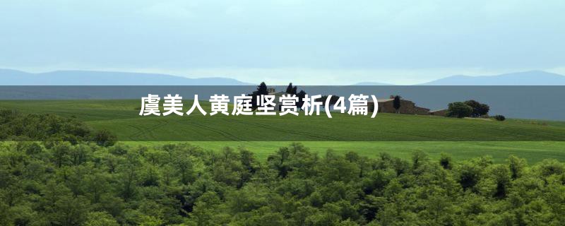虞美人黄庭坚赏析(4篇)