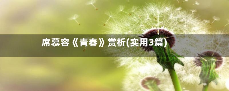 席慕容《青春》赏析(实用3篇)