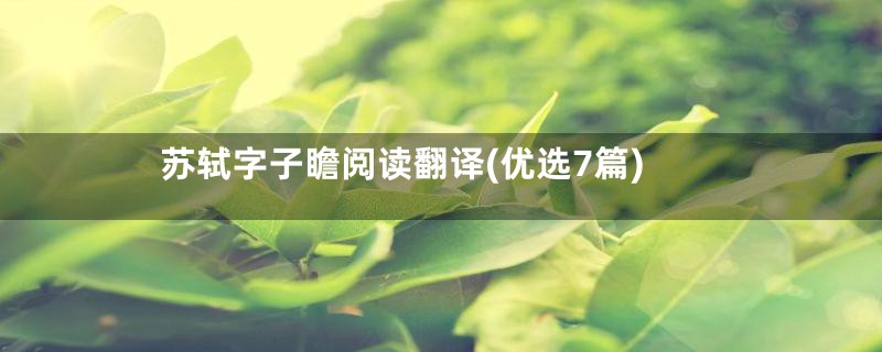 苏轼字子瞻阅读翻译(优选7篇)