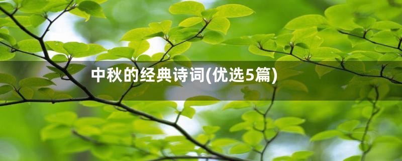 中秋的经典诗词(优选5篇)