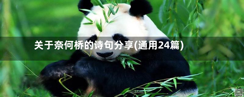关于奈何桥的诗句分享(通用24篇)